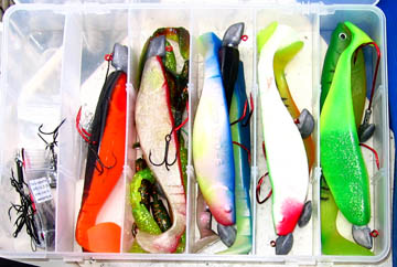 Click to expand / contract the width of this image