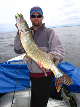 Click to expand / contract the width of this image