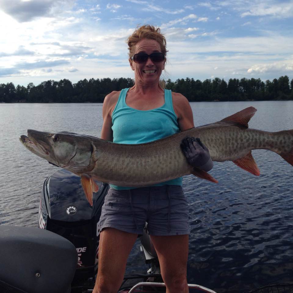 Click to expand / contract the width of this image