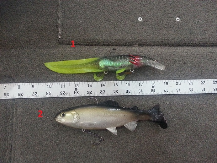 Click to expand / contract the width of this image