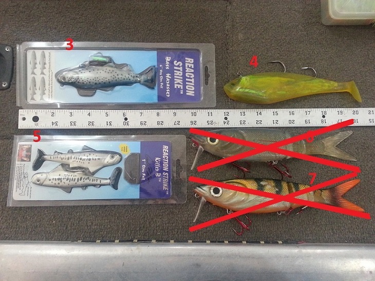 Click to expand / contract the width of this image