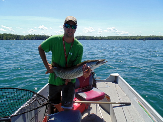 Click to expand / contract the width of this image