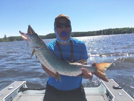 Click to expand / contract the width of this image