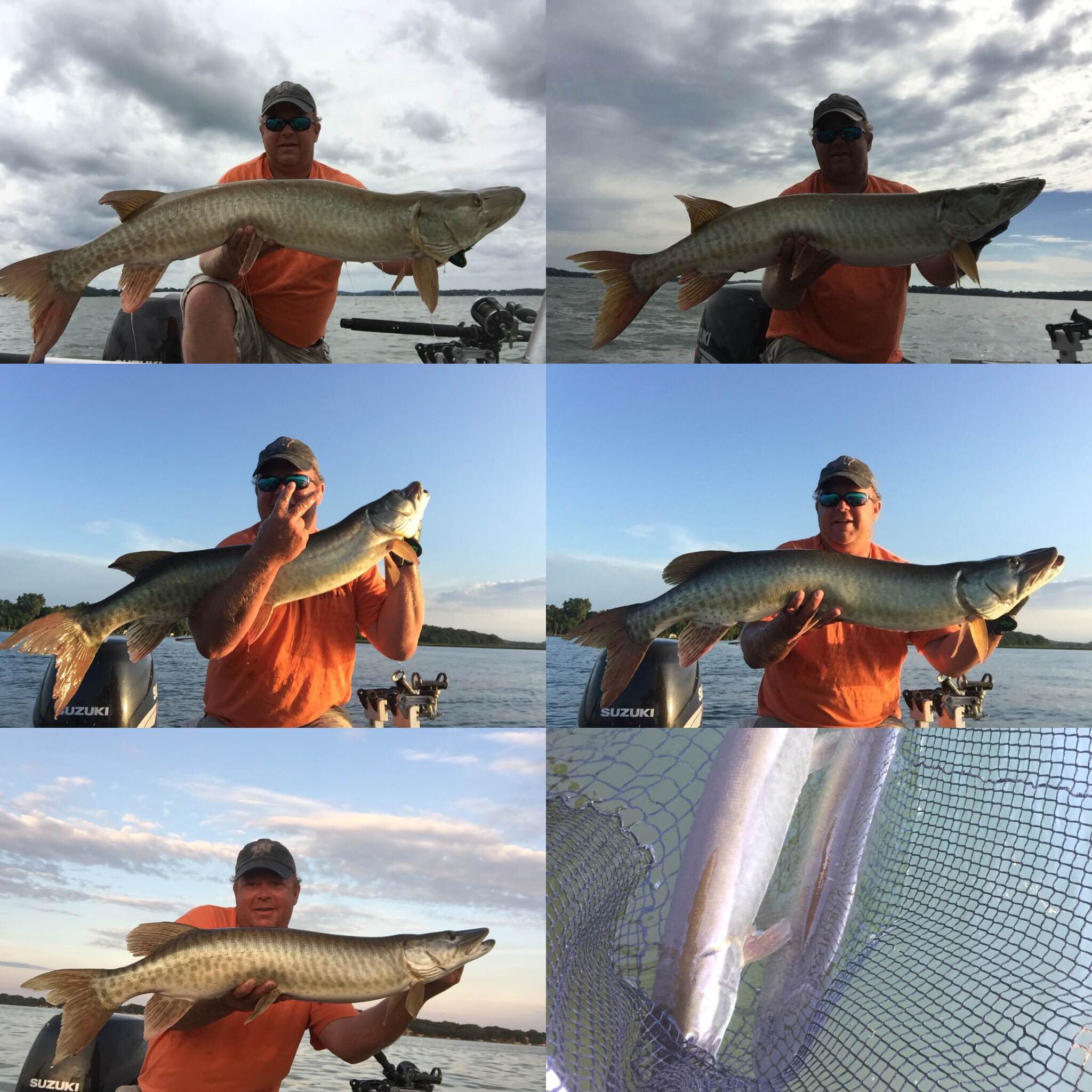 Click to expand / contract the width of this image