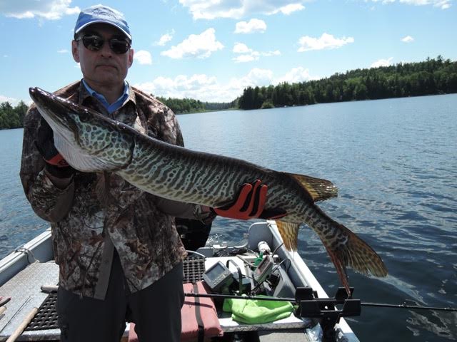 Click to expand / contract the width of this image