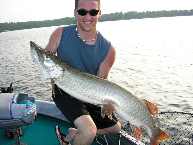 Click to expand / contract the width of this image