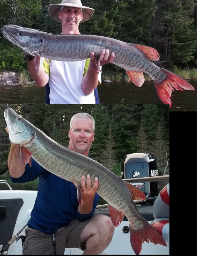 Click to expand / contract the width of this image