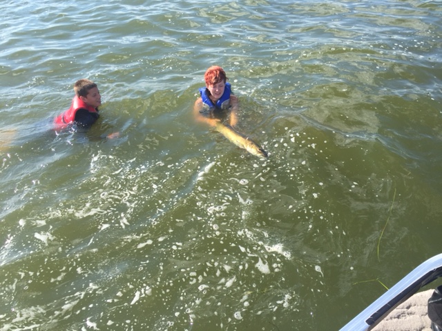 Click to expand / contract the width of this image