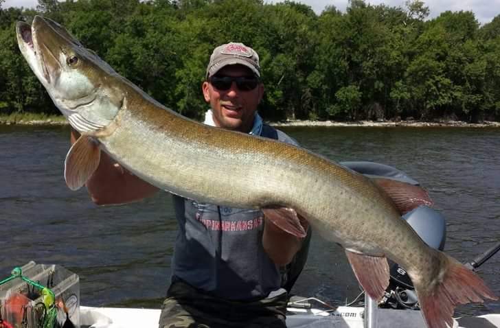 Click to expand / contract the width of this image