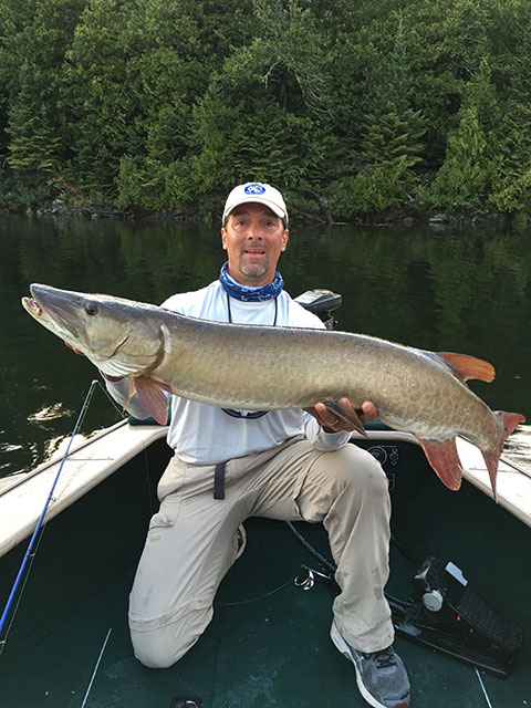 Click to expand / contract the width of this image