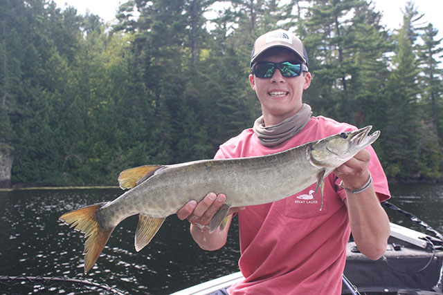 Click to expand / contract the width of this image