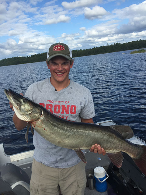 Click to expand / contract the width of this image