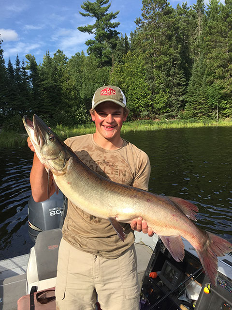 Click to expand / contract the width of this image