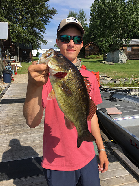 Click to expand / contract the width of this image