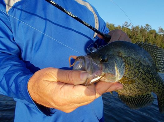 Click to expand / contract the width of this image