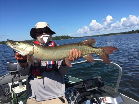 Click to expand / contract the width of this image