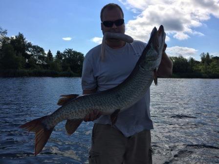 Click to expand / contract the width of this image