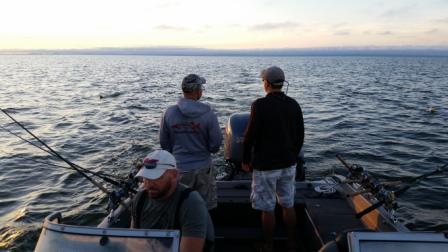 Click to expand / contract the width of this image