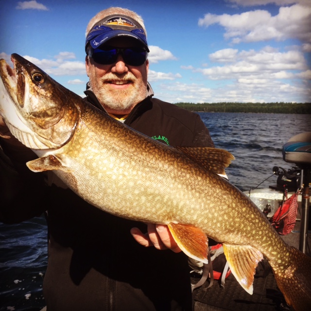 Click to expand / contract the width of this image