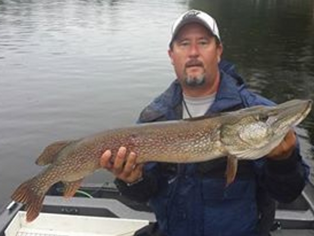 Click to expand / contract the width of this image