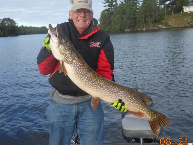 Click to expand / contract the width of this image