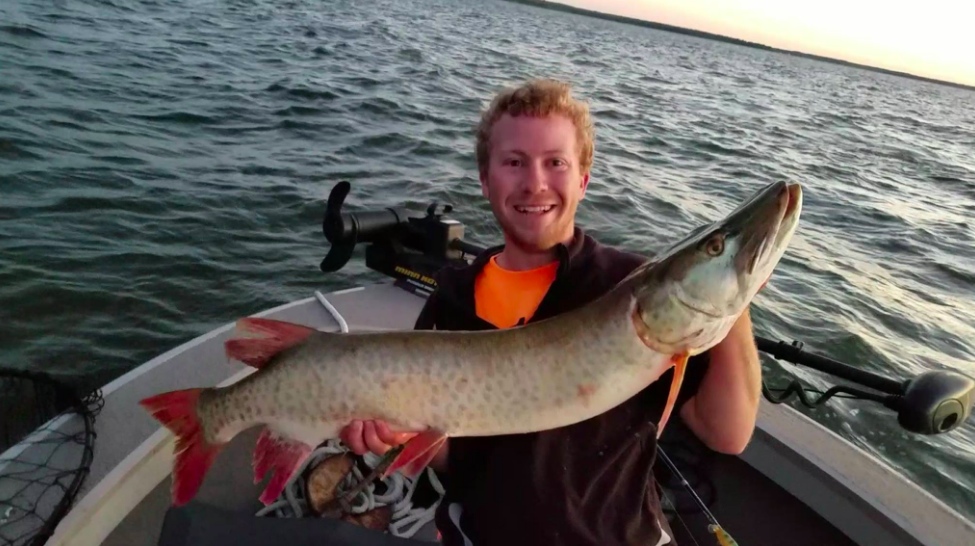 Click to expand / contract the width of this image