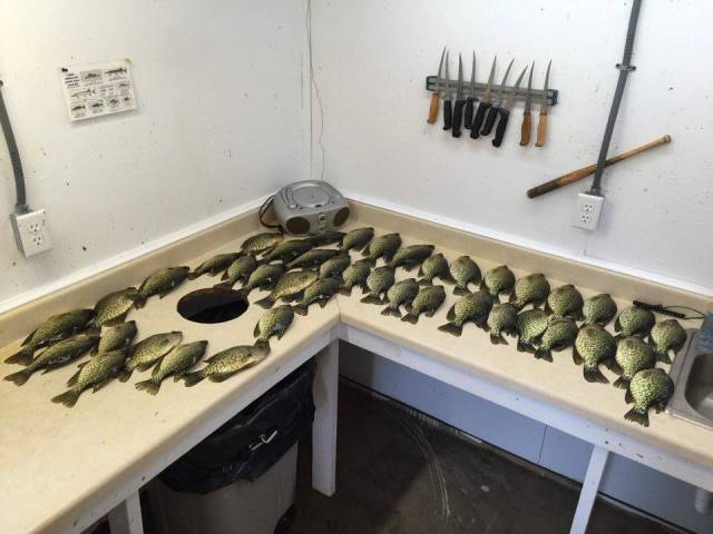 Click to expand / contract the width of this image