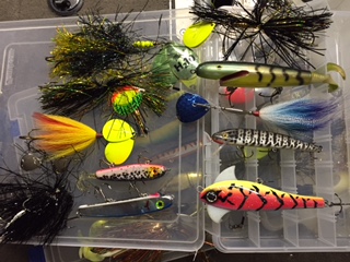 Click to expand / contract the width of this image