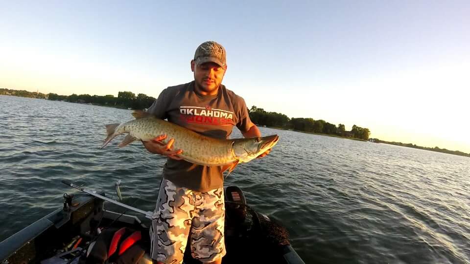 Click to expand / contract the width of this image