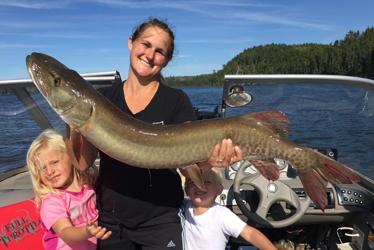 Click to expand / contract the width of this image