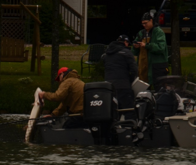 Click to expand / contract the width of this image