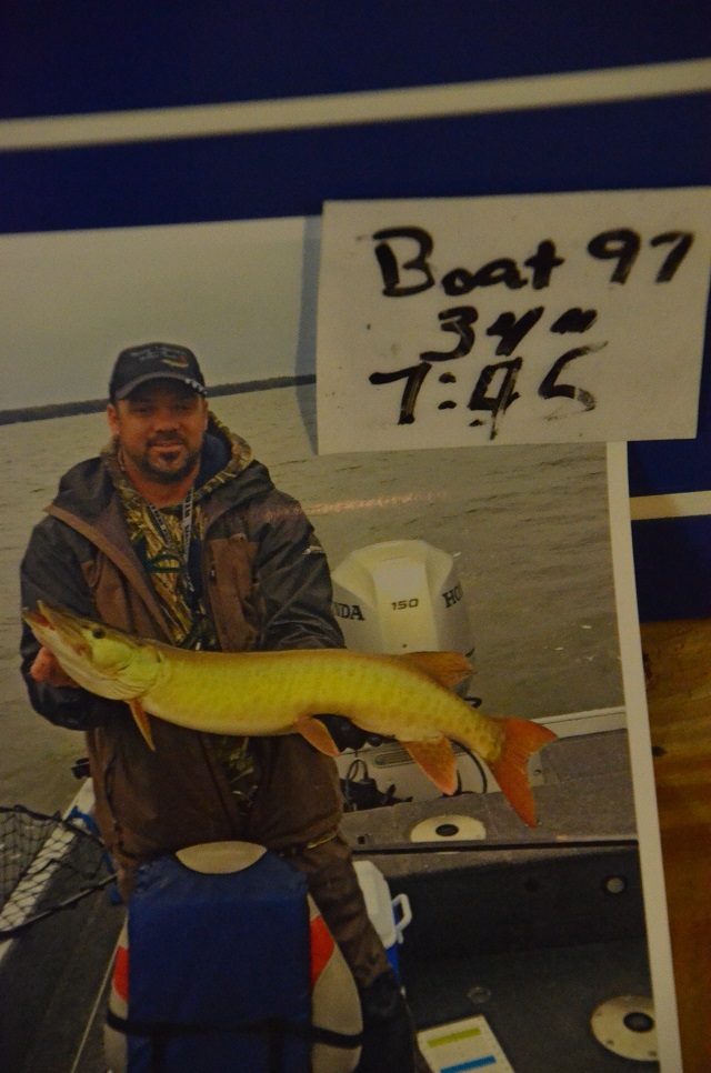 Click to expand / contract the width of this image