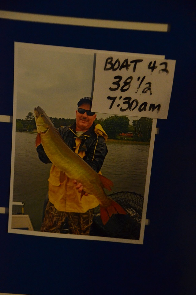 Click to expand / contract the width of this image