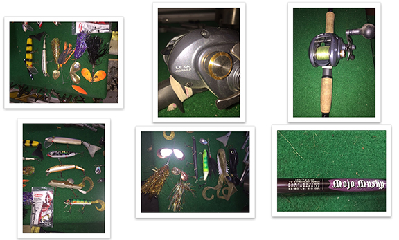 Click to expand / contract the width of this image