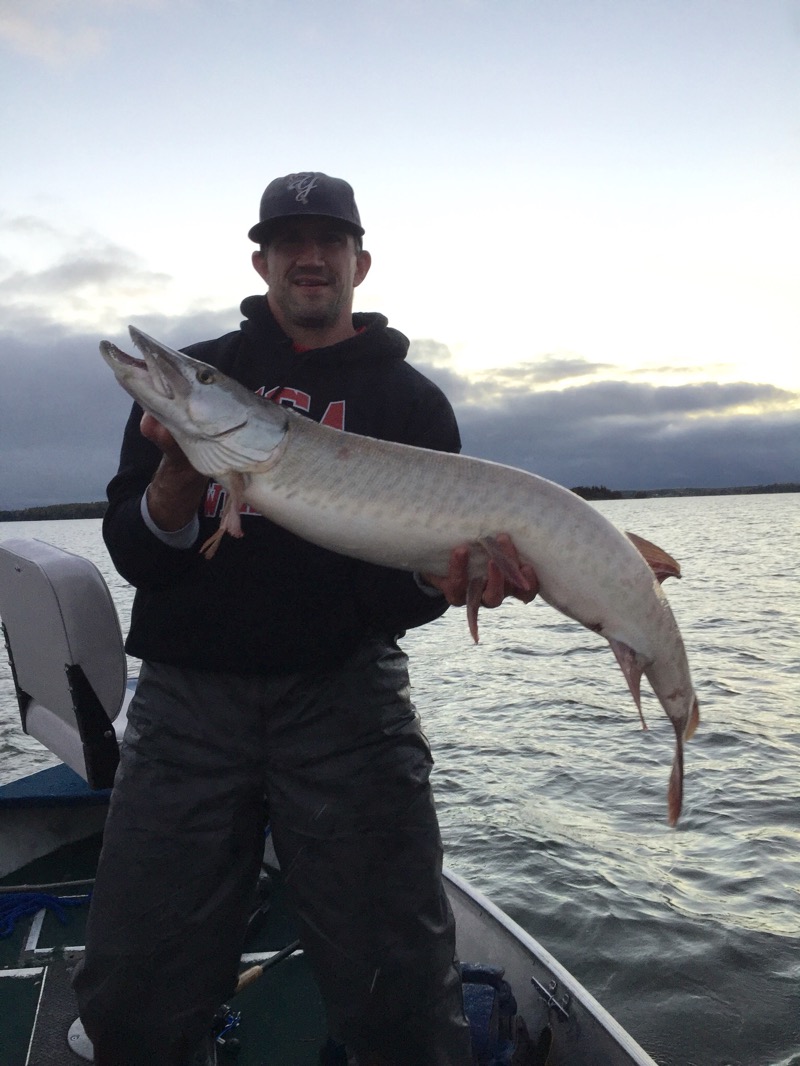 Click to expand / contract the width of this image