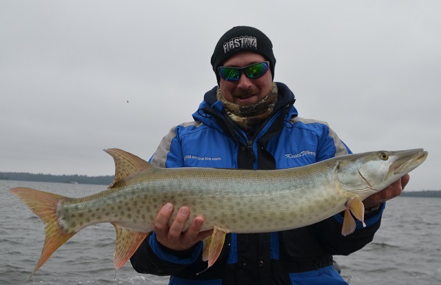 Click to expand / contract the width of this image