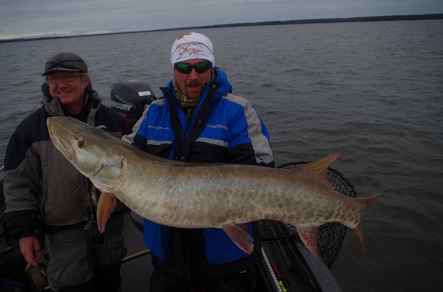 Click to expand / contract the width of this image