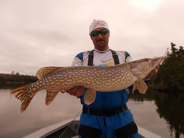 Click to expand / contract the width of this image