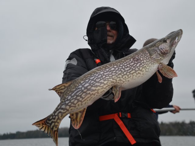 Click to expand / contract the width of this image