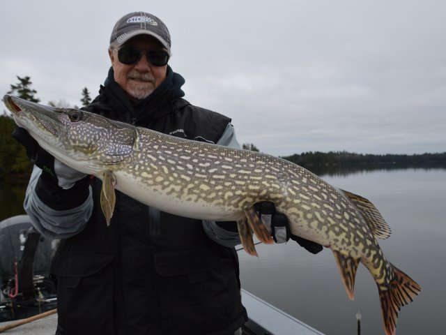 Click to expand / contract the width of this image