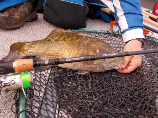 Click to expand / contract the width of this image