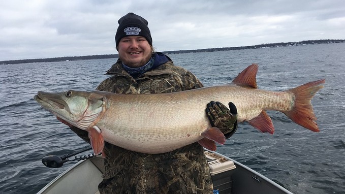 Click to expand / contract the width of this image