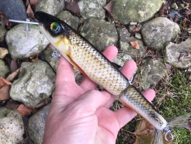 Click to expand / contract the width of this image