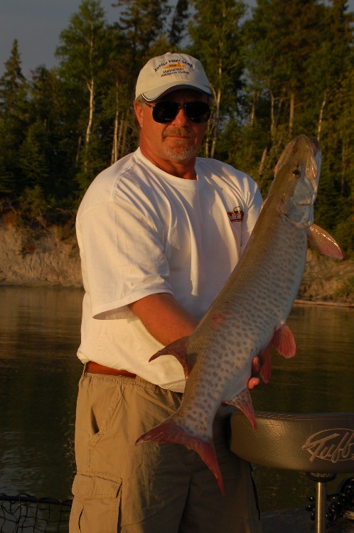 Click to expand / contract the width of this image