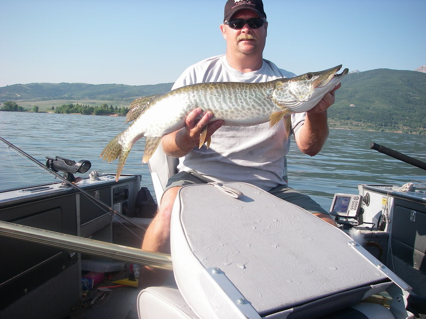 Click to expand / contract the width of this image