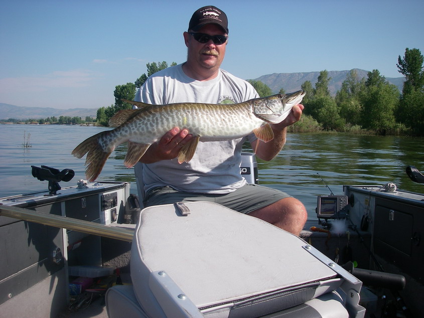 Click to expand / contract the width of this image