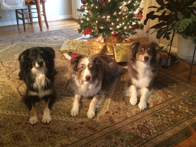 Click to expand / contract the width of this image