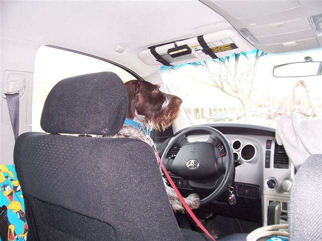 Click to expand / contract the width of this image