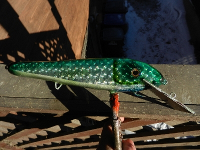 Click to expand / contract the width of this image