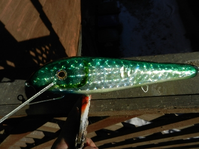 Click to expand / contract the width of this image